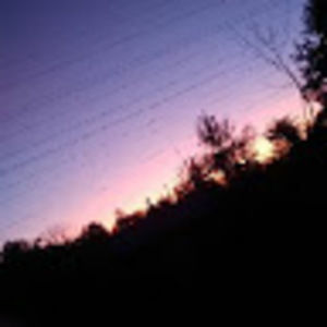 Meet your Posher, Preston